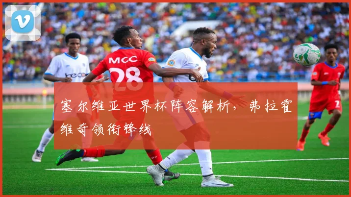 塞尔维亚世界杯阵容解析,弗拉霍维奇领衔锋线