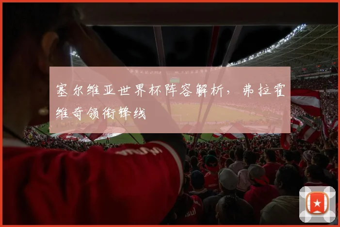 塞尔维亚世界杯阵容解析,弗拉霍维奇领衔锋线