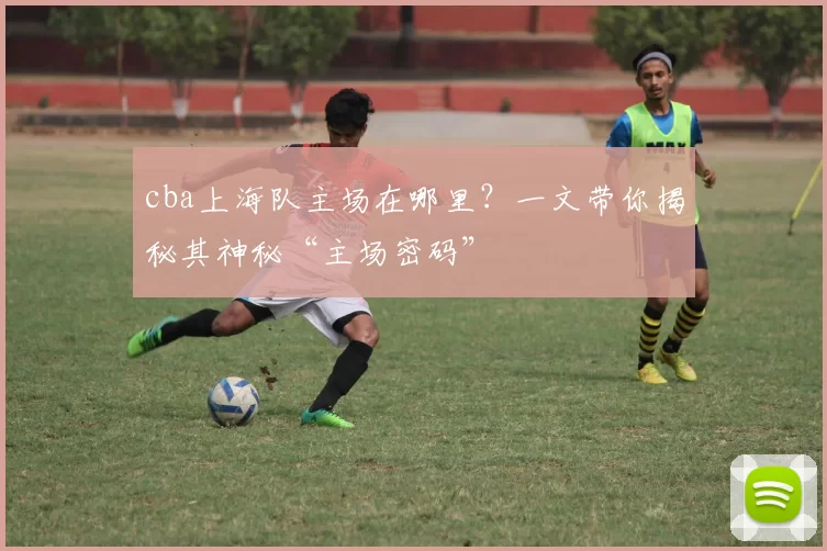 cba上海队主场在哪里?一文带你揭秘其神秘“主场密码”